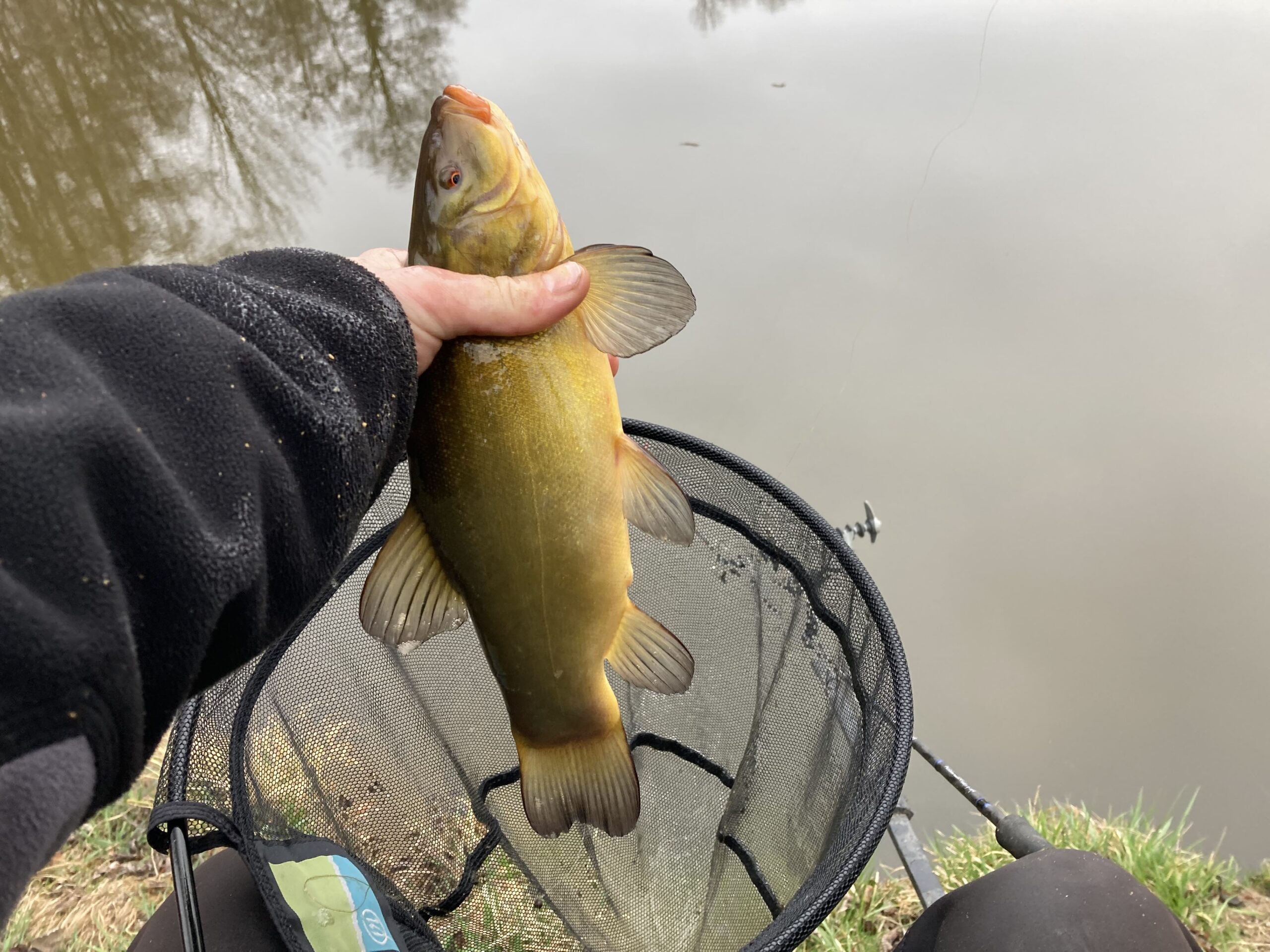 Lín na method feeder